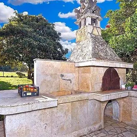 1066 רוביני